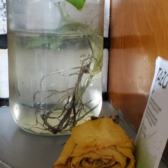 💋all sold below💋 - Picture 9 of 12